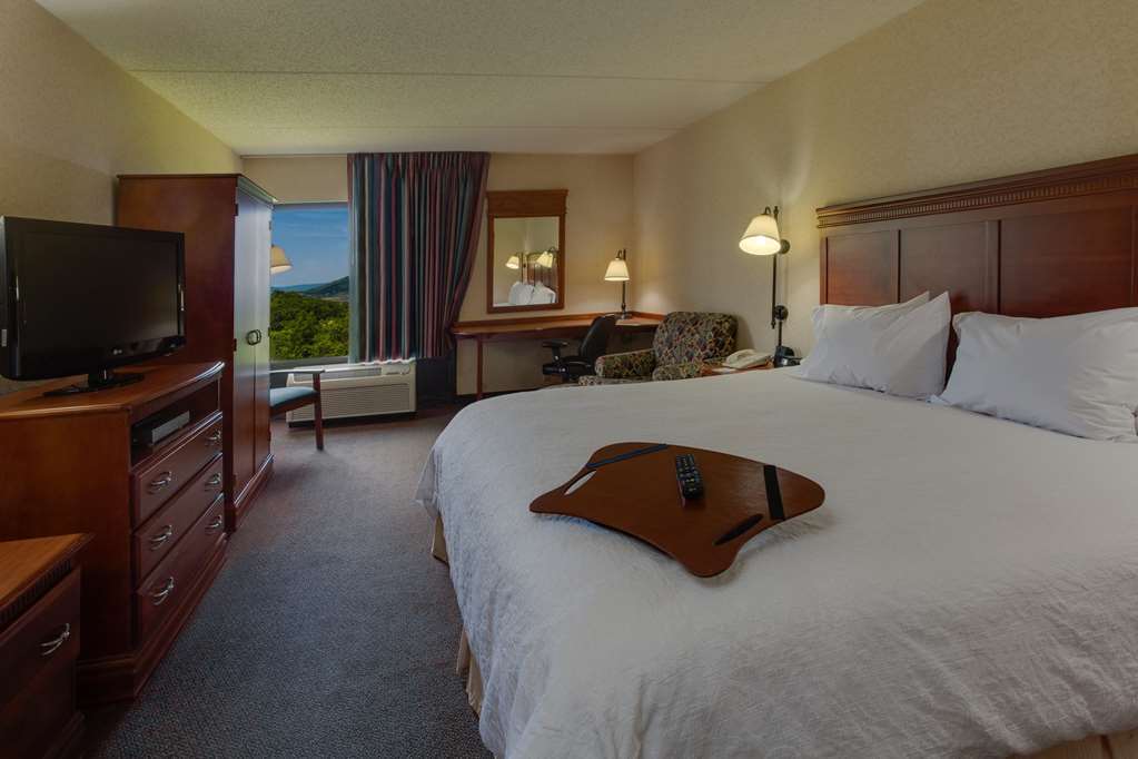 Hampton Inn Hazleton Room photo