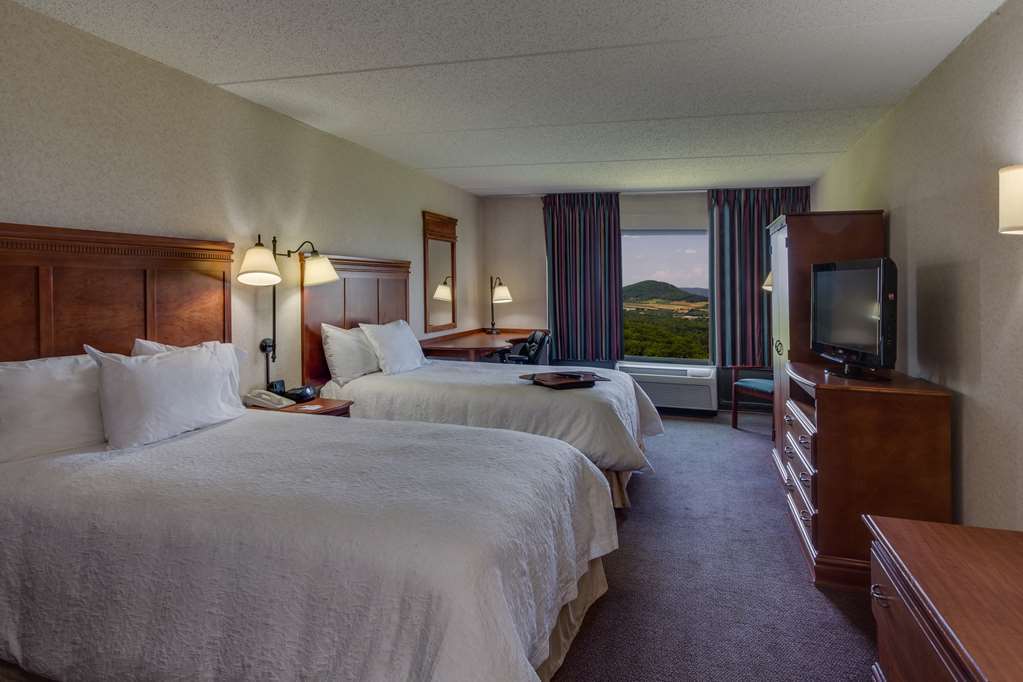 Hampton Inn Hazleton Room photo